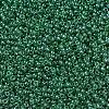 MIYUKI Round Rocailles Beads X-SEED-G007-RR0173-3