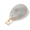 Natural Labradorite Pendants PALLOY-JF04953-5