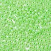 Imitation Jade Glass Seed Beads SEED-Z001-A-A14-3