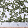 MIYUKI Delica Beads SEED-J020-DB0391-4