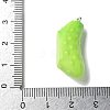 Resin Iron Pendants LS-RESI-D280-12-3