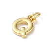 Rack Plating Brass Charms KK-P245-06G-Q-2