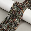 Natural African Bloodstone Beads Strands G-S388-A02-4mm-1