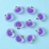 10Pcs Frosted Resin Pendants RESI-YW0004-45B-1