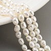 Natural Keshi Pearl Cultured Freshwater Pearl Beads Strands PEAR-P062-25D-2