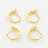 Iron Leverback Earring Findings IFIN-Q113-G-1