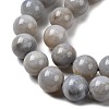 Natural Gemstone Beads Strands G-L641-A01-04-4