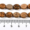 Natural Picture Jasper Beads Strands G-M420-D14-01-5