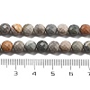 Natural Ocean Jasper Beads Strands G-C179-A09-02-5