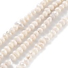 Natural Cultured Freshwater Pearl Beads Strands PEAR-C003-04A-1