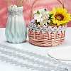 Polyester Lace Ribbons OCOR-WH0082-20B-5