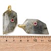 Natural Labradorite Pendants GG-CBA51ED-04G-01-2