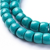 Natural Magnesite Beads Strands TURQ-G152-G02-3