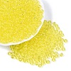 FGB Transparent Glass Seed Beads SEED-N013-01A-12-1