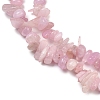 Natural Kunzite Beads Strands G-P597-A01-01-4