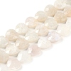 Natural Rainbow Moonstone Beads Strands G-G118-A01-01-1