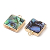 Natural Paua Shell Pendants SHEL-P017-21G-2