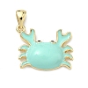 Brass Enamel Pendants KK-G555-20G-01-1