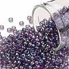 TOHO Round Seed Beads SEED-JPTR08-0166D-1