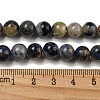 Natural Sodalite Beads Strands G-F591-13-5