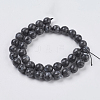Natural Larvikite Beads Strands X-G-G542-10mm-27-2