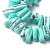 Dyed Natural Trochus Shell Beads Strands SSHEL-C013-09M-3