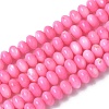 Natural Freshwater Shell Beads Strands SSHEL-C013-07F-1
