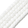 Opaque Glass Beads Strands GLAA-L050-C24-1