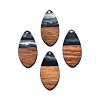 Transparent Resin & Walnut Wood Pendants RESI-N025-032-C-3