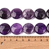 Natural Amethyst Flat Round Bead Strands G-L246-23-6