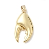 Crab Claw Charms Brass Pendants KK-H529-57B-G-1