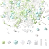 2 Sets Glass Seed Beads DIY-FS0008-27B-1
