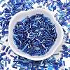 Glass Round Bugle Beads SEED-XCP0001-47F-2