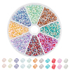 80G 8 Colors Glass Seed Beads GLAA-GO0001-20B-1