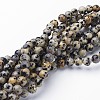 Natural Dalmatian Jasper Bead Strands G-R345-6mm-51-2