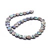 Paua Shell Beads Strands BSHE-K054-03-2