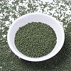 MIYUKI Delica Beads SEED-X0054-DB1135-2