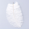 Ostrich Feather Costume Accessories FIND-R036-A-16-1