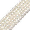 Natural Cultured Freshwater Pearl Beads Strands PEAR-J006-09A-1