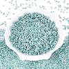 Picasso Glass Seed Beads SEED-Q041-02B-2