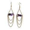 Natural Amethyst Dangle Earrings EJEW-JE07287-01-2