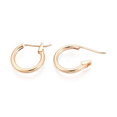 304 Stainless Steel Hoop Earrings EJEW-T048-25A-G-1