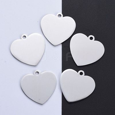Tarnish Resistant 304 Stainless Steel Pendants STAS-I140-10B-S-1