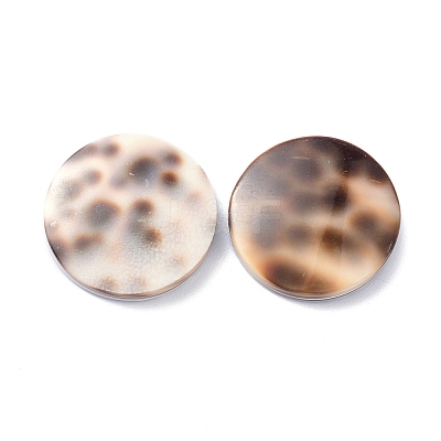 Tiger Cowrie Shell Cabochons BSHE-Z002-11-1