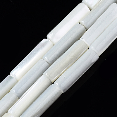 Natural Trochid Shell/Trochus Shell Beads Strands X-SSHEL-S266-020A-03-1