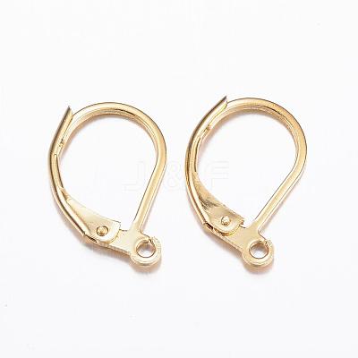 304 Stainless Steel Leverback Earring Findings X-STAS-P166-12G-1