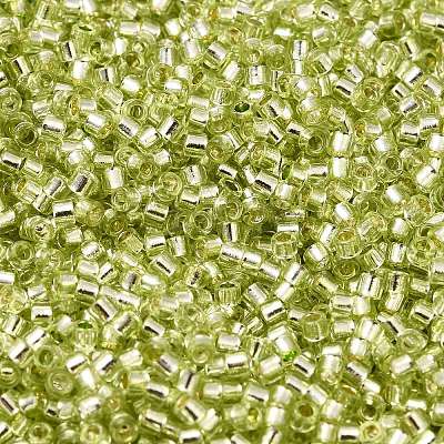 Glass Seed Beads X-SEED-S042-04B-24-1
