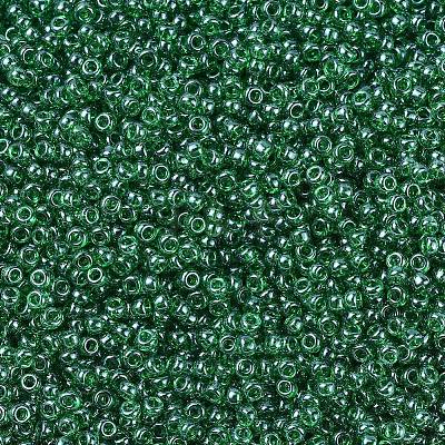MIYUKI Round Rocailles Beads X-SEED-G007-RR0173-1
