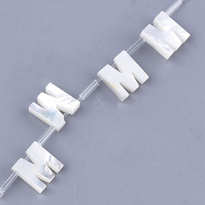 Natural Sea Shell Beads SHEL-T012-60M-1