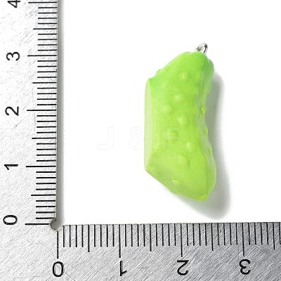 Resin Iron Pendants LS-RESI-D280-12-1